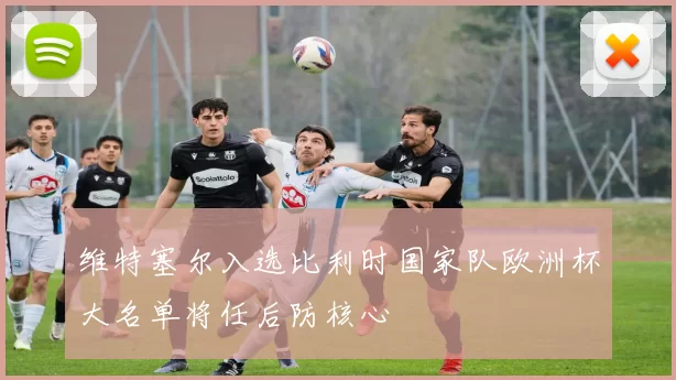 维特塞尔入选比利时国家队欧洲杯大名单将任后防核心