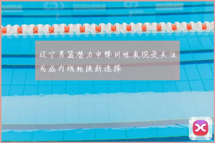 辽宁男篮潜力中锋训练表现受关注或成内线轮换新选择