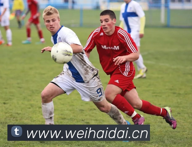 世界杯官网平台发展历程